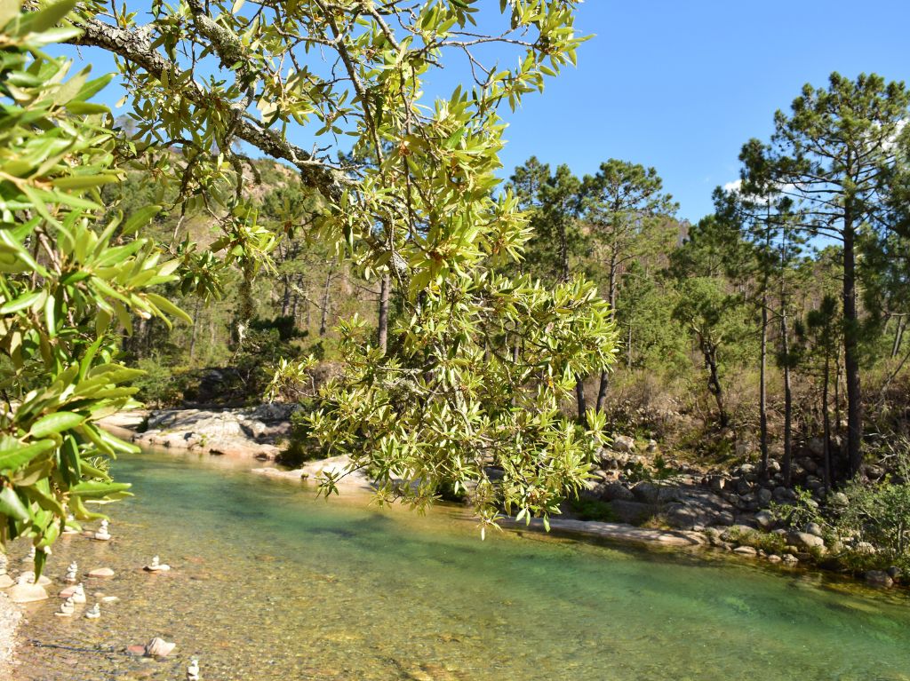 Explorer-les-plus-belles-piscines-naturelles-deau chaude-en-Corse-du-Sud 