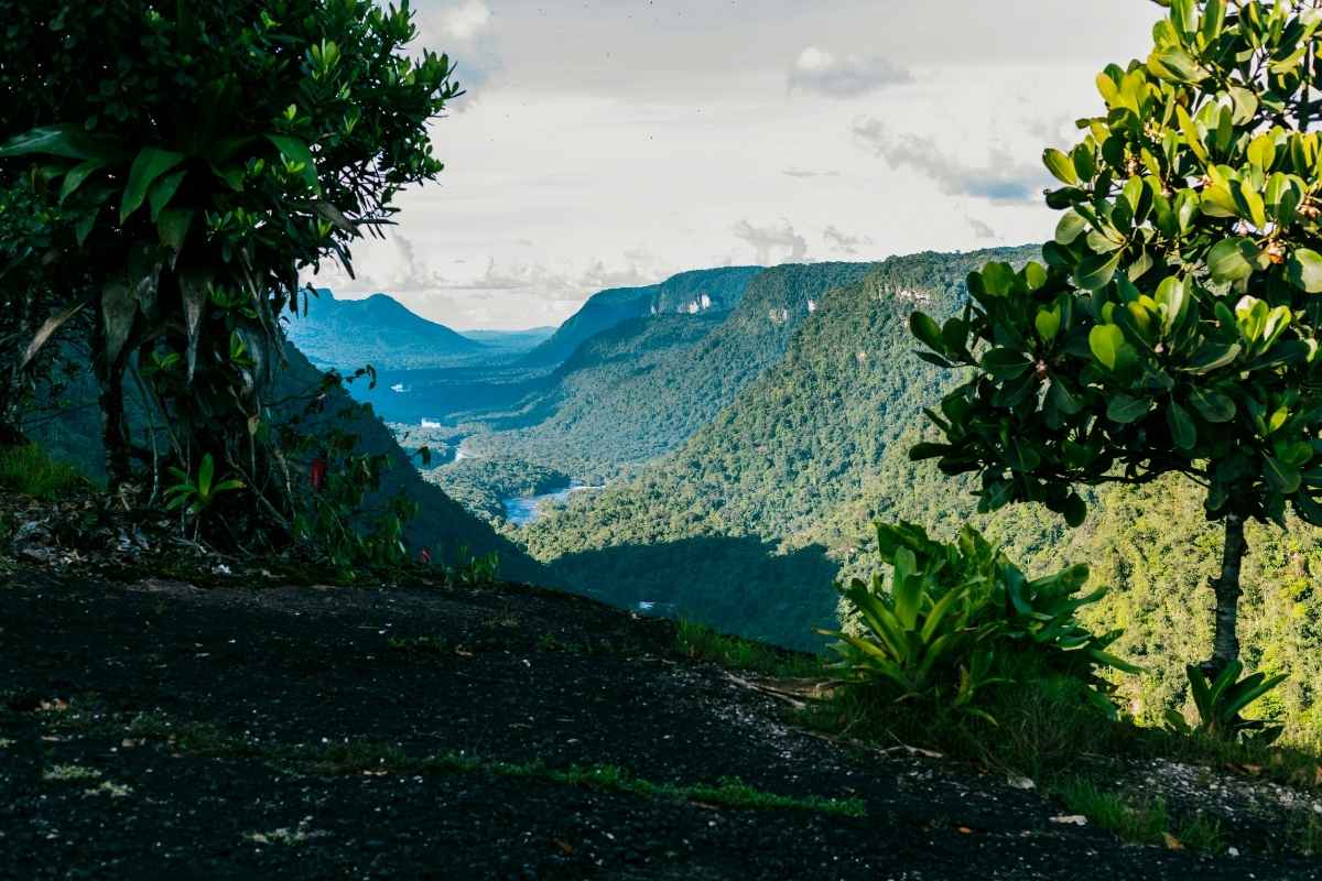 Voyagez en toute confiance en Guyane grâce à notre agence de Lyon 3